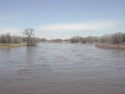 A picture named soplatteapril09