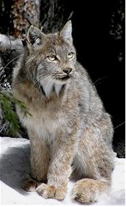 A picture named arkansasriverbasin.jpg