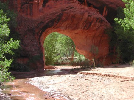 Coyote Natural Bridge