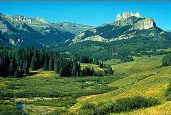 A picture named westelks.jpg