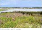 Blanca Wetlands via the National Park Service