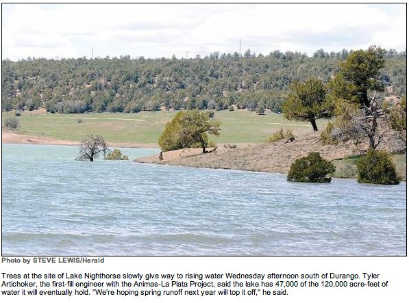 A picture named zebramusselinfestation.jpg