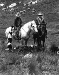 Sheep Herders on the Uncompahgre Plateau