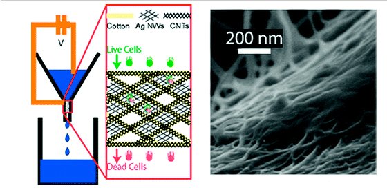 A picture named highspeednanostructuresdisinfection.jpg