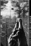Vietnam Memorial
