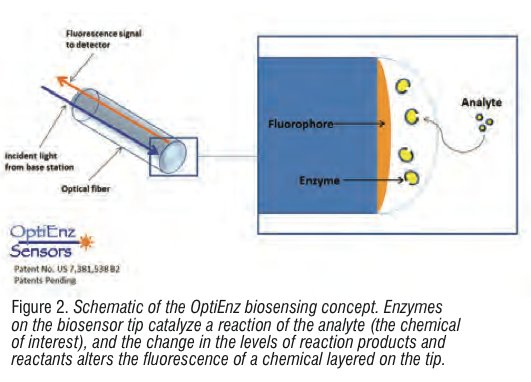 optienzbiosensingconcept.jpg