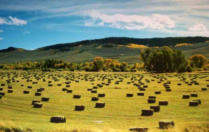 haymeadowsneargunnison.jpg