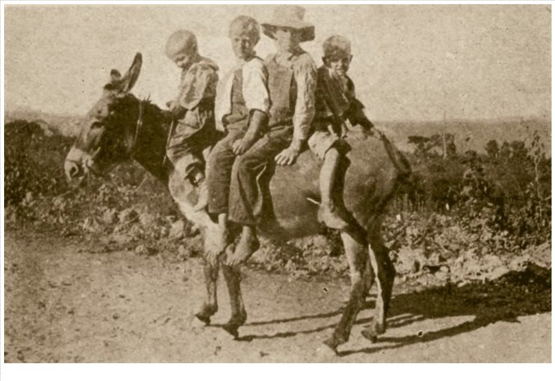 mormonkidsstthomasnevadacoloradoriver1920