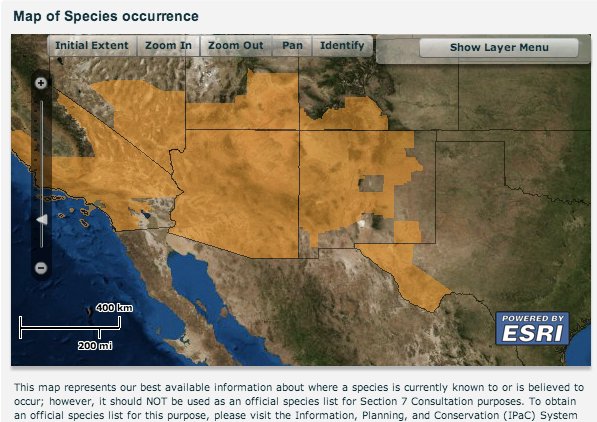 southwesternwillowflycatcherdesignatedhabitatusfws