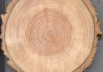 Douglas Fir tree rings via the Western Water Assessment