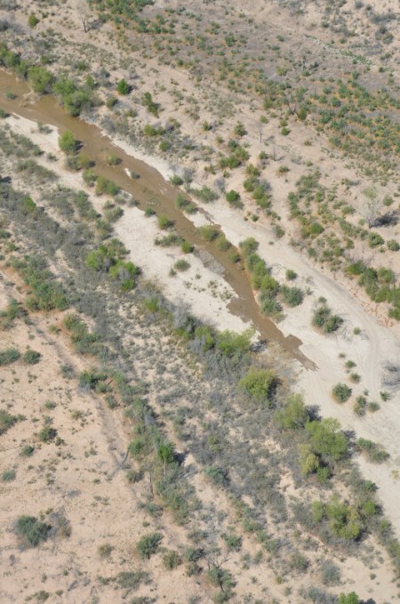 Pulse flow tongue upstream of San Luis Rio Colorado