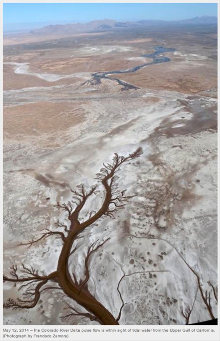 Photo via the National Geographic