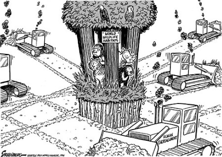 Habitat loss via Steve Greenberg