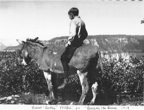 Brighty the pancake-loving donkey: Bobby McKee rides his trusty partner, Brighty, while fetching water for residents at the Wylie Way camp in the Grand Canyon in 1918. (Photo courtesy of Marth Krueger)