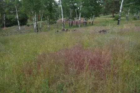 colorfulcommunitieslovedbypeopleswhocamebeforehobbs072014