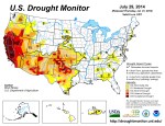 US Drought Monitor July 29, 2014