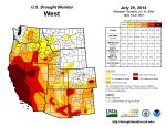 West Drought Monitor July 29, 2014