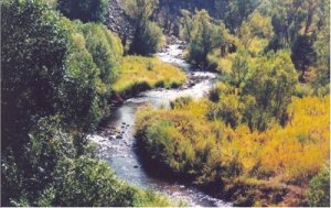 Bear Creek near Evergreen