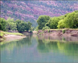 animasriver