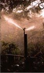 watersprinkler