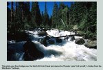 St. Vrain River Rocky Mountain National Park