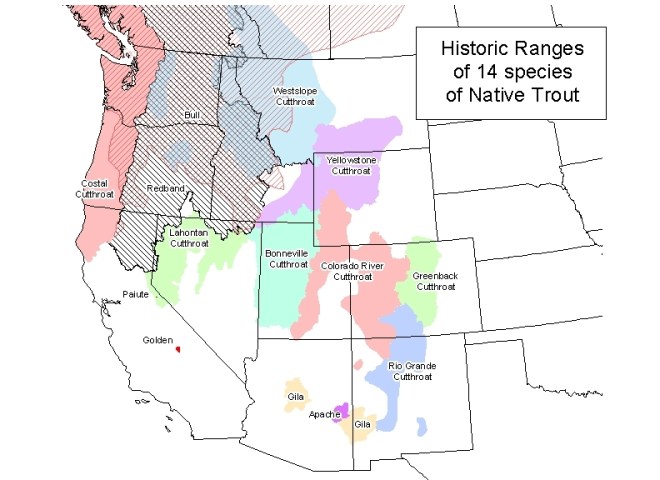 Cutthroat trout historic range via Western Trout