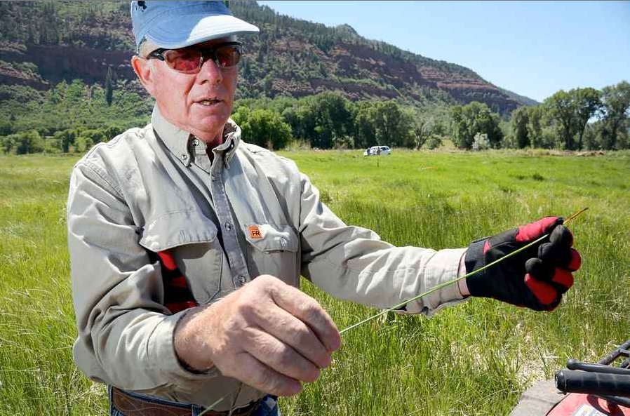 Zink Ranch receives permission to expand wetlands north of Durango ...