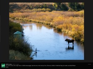 moosestreamflowgageidaho122012