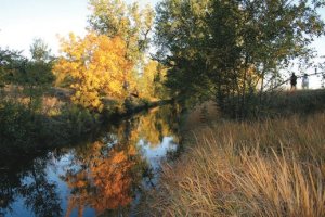 Highline Canal Denver