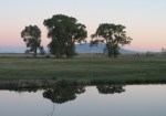 Pond on the Garcia Ranch via Rio Grande Headwaters Land Trust