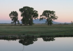 Pond on the Garcia Ranch via Rio Grande Headwaters Land Trust