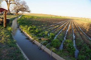 Flood irrigation in the Arkansas Valley via Greg Hobbs