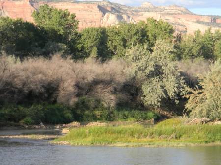 Colorado National Monument from the Colorado River Trail near Fruita September 2014
