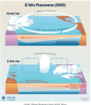 El Niño (ENSO) phenomenon graphic from the Climate Predication Center via Climate Central
