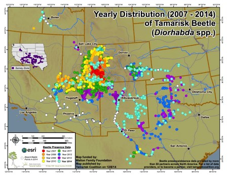 2014 Tamarisk leaf beetle distribution map via the Tamarisk Coalition