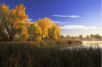 Adams County photo via CIG
