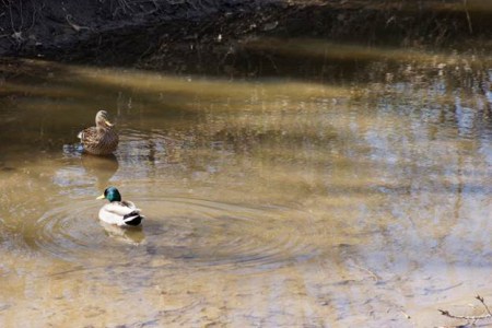 iamwithyougreghobbs03292015