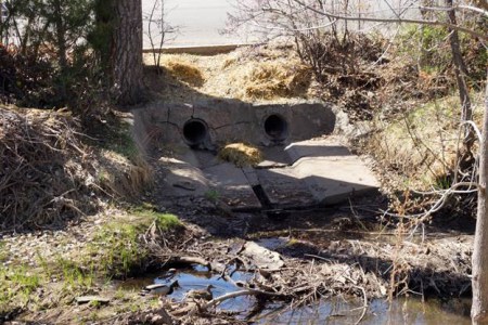 somtimespaddlestormdrainpollgreghobbs03292915