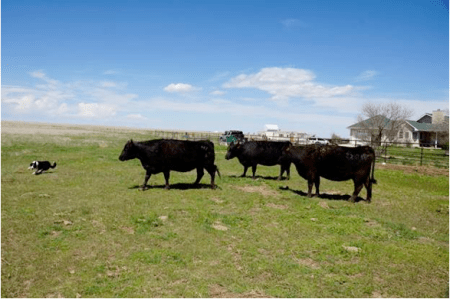 claimsahandfulofnamelesshomesteaders