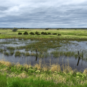 southplattebasin062015bobberwyn