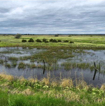 southplattebasin062015bobberwyn
