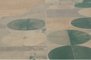 cropcirclescoloradoindependent