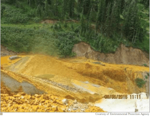 goldkingspillinitialdelugeepadurangoherald