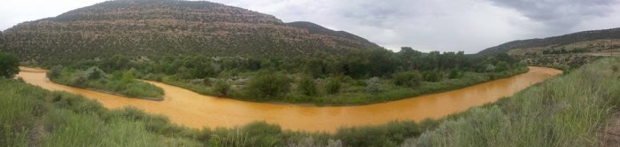 The Animas River at the Colorado- New Mexico state line, August 7, 2015. Photo courtesy Melissa May.