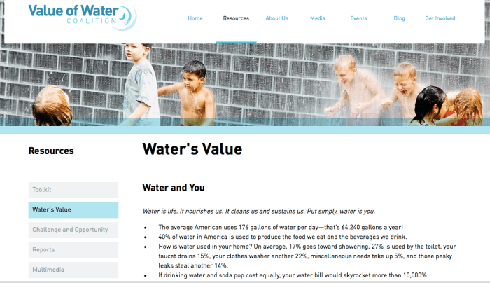 thevalueofwaterorgscreenshot08042015