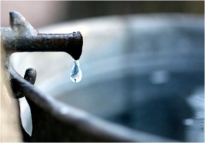 LadyDragonflyCC -- Creative Commons, Flickr