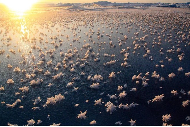 frostflowersarcticoceanviastormhour