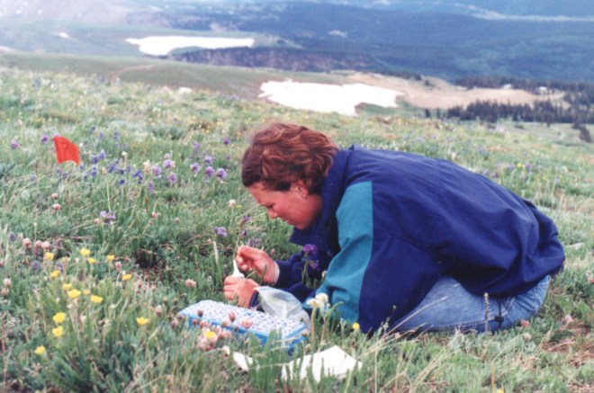 A researcher does the hard work of science amid the wondrous setting of Pennsylvania Mountain. Photo/Christine Carlson
