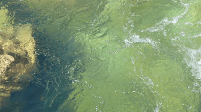 streamflowaspenjournalism