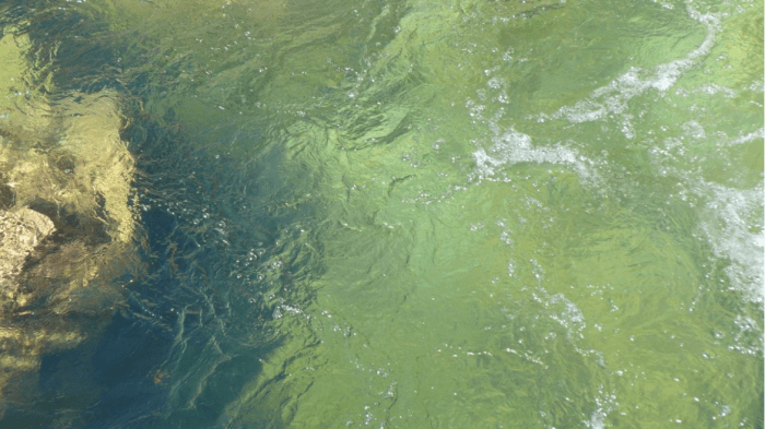 streamflowaspenjournalism